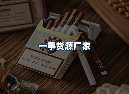 专业团队办公环境